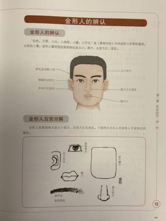 金型人的特點(diǎn)最全解析 什么是金型人<div   id=
