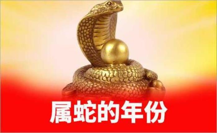 手機(jī)號(hào)碼測(cè)吉兇八字：辛巳年出生的人用什么手機(jī)數(shù)字組合最吉利 辛巳年屬蛇的吉利的手機(jī)號(hào)碼