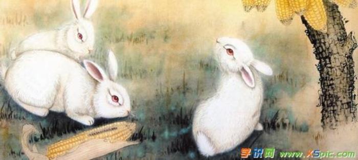 屬羊男和屬兔女的婚姻配嗎 屬羊跟屬兔的合得來嗎