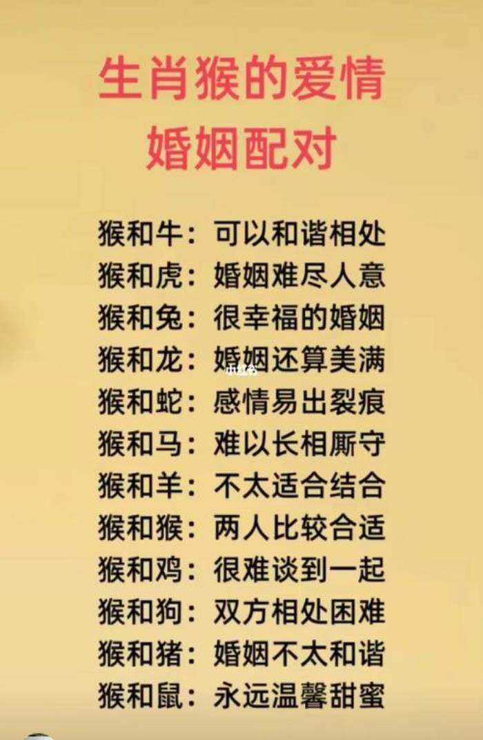 04年生肖屬猴的婚配如何 2004年屬猴的婚配