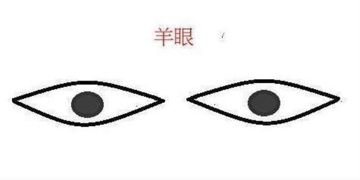 羊眼的性格和運(yùn)勢(shì)如何呢 蛇眼和羊眼是什么樣子