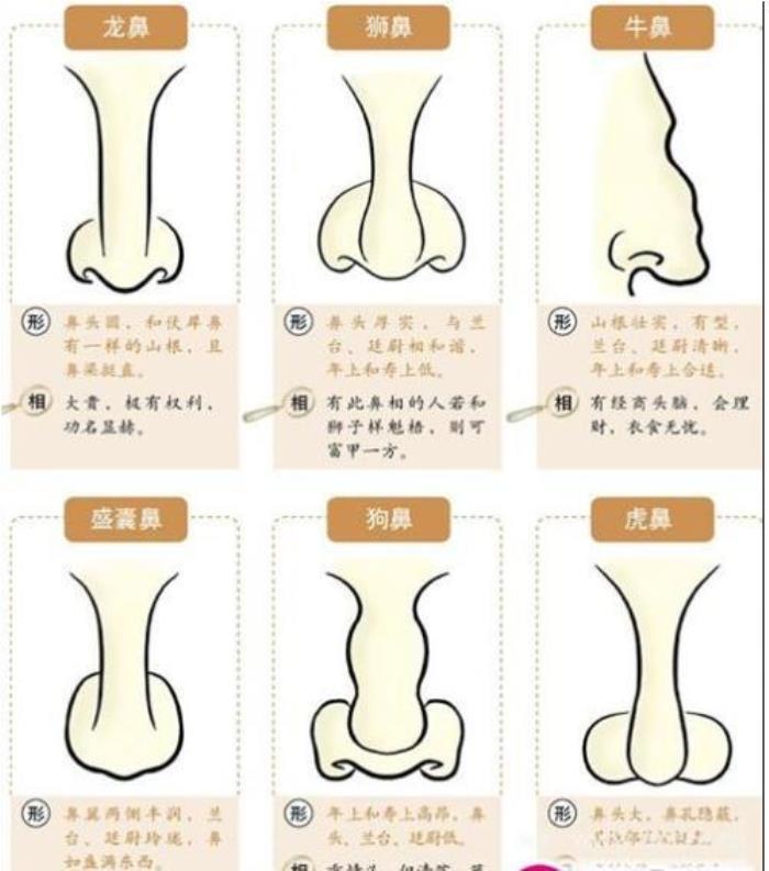 懸膽鼻人的性格命運(yùn)怎么樣? 什么是懸膽鼻