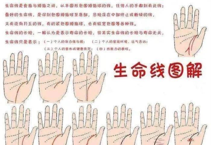 生命線分叉意味著什么？ 生命線很多分叉