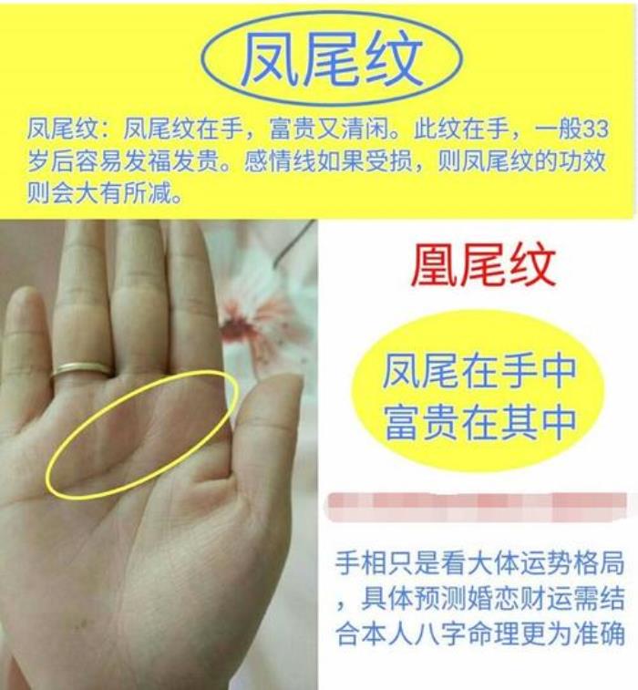 生命線(xiàn)中間分叉 女人富貴命罕見(jiàn)手相鳳尾紋