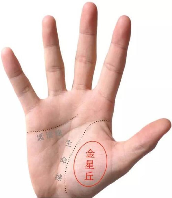 金形手的特征 手相看人