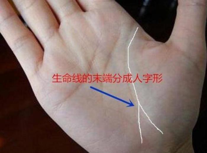 分叉的生命線代表什么 女人右手生命線有分叉