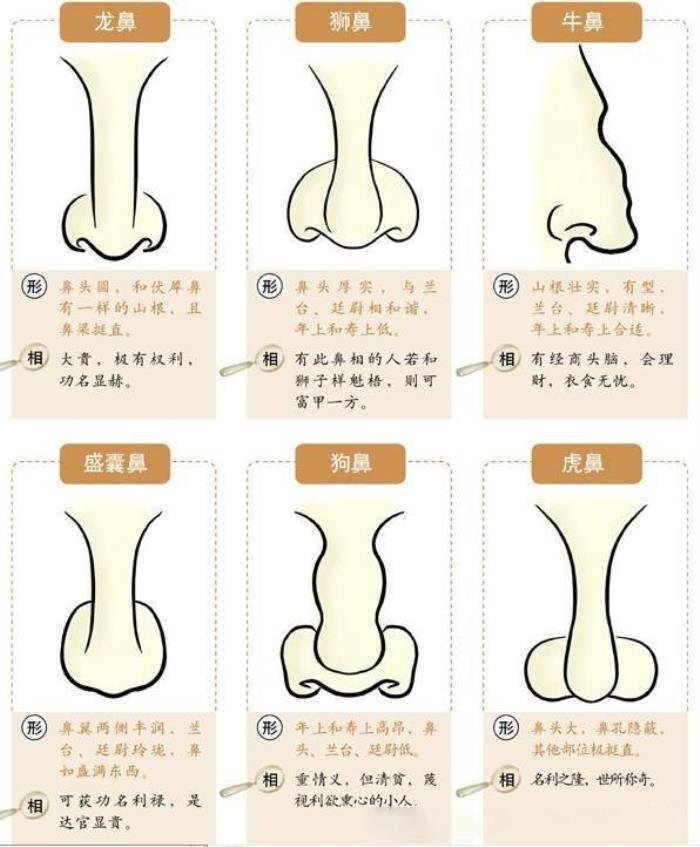 面相分析鼻梁高的人運勢 鼻梁低的人命運怎樣