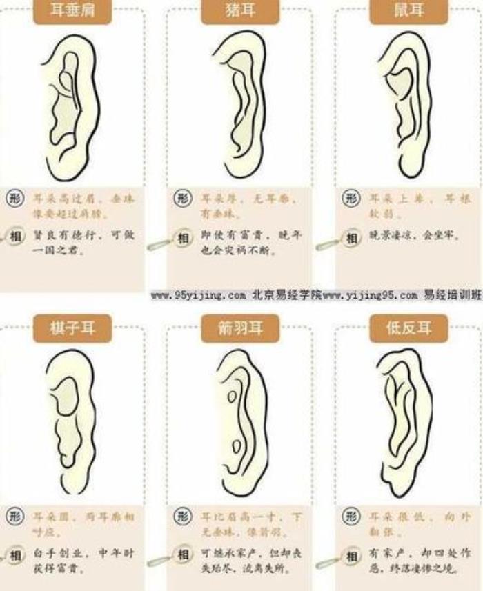 面相解析耳朵與人的性格和運勢 耳朵低于眼睛面相