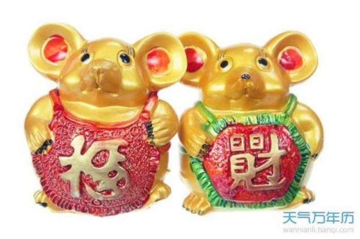 1996年男財運運程 1996年屬鼠的財運