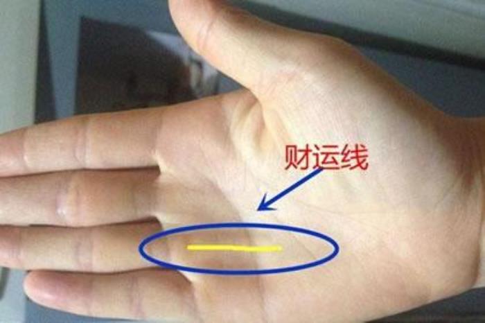 財運線看你適合做的行業(yè) 事業(yè)運好了是不是財運就好了