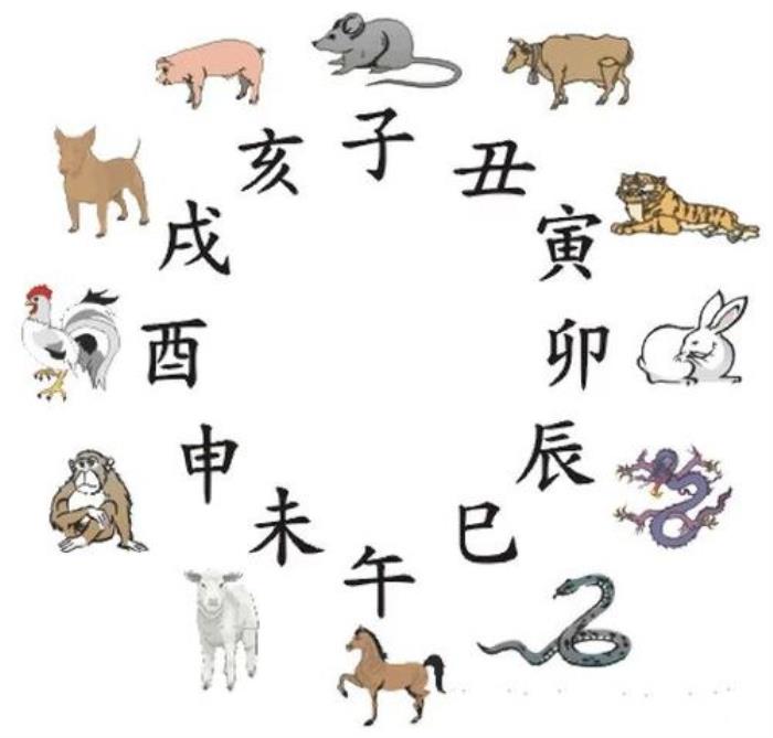 12生肖什么時辰出生最好 什么時辰出生的人命好