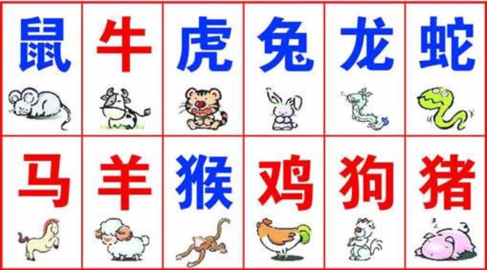 哪個(gè)生肖是天地生肖 十二生肖的天地生肖