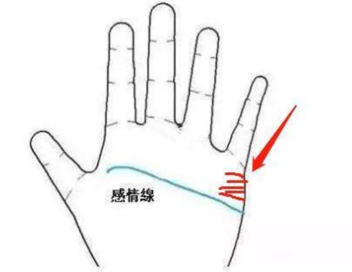 金形手的愛情如何 形散神聚用于感情的解釋