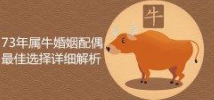 1973年的婚姻好不好 1973屬牛今年婚姻