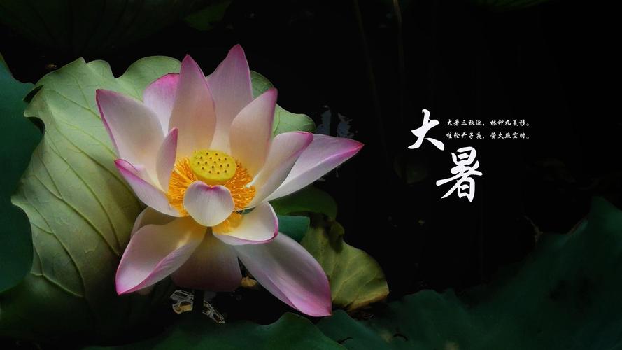 大暑民間習(xí)俗吃什么？怎么吃出健康來(lái)