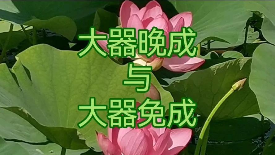 1729416598472459.jpg 4be4577e8d7b4c58859a993fe423a81d_noop.jpg