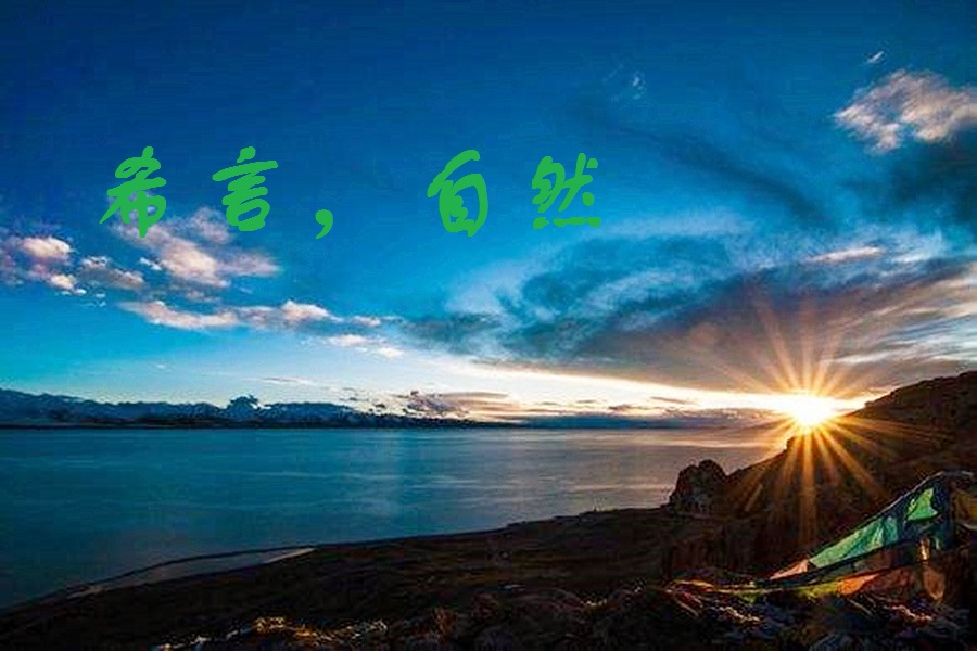 30b30b6c3013fff8-fd3c9b4bd66f9df2-e9ff91c989f31225717424dcc6e588a0.jpg