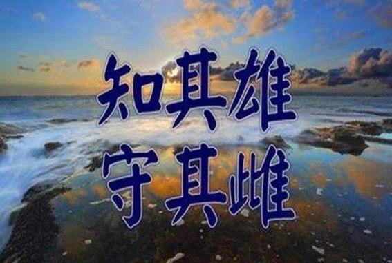 eeb88387bfc51b95-0208b2ba6b7ef312-795c3cf4a30350a16b3d5d9c389b9d88.jpg