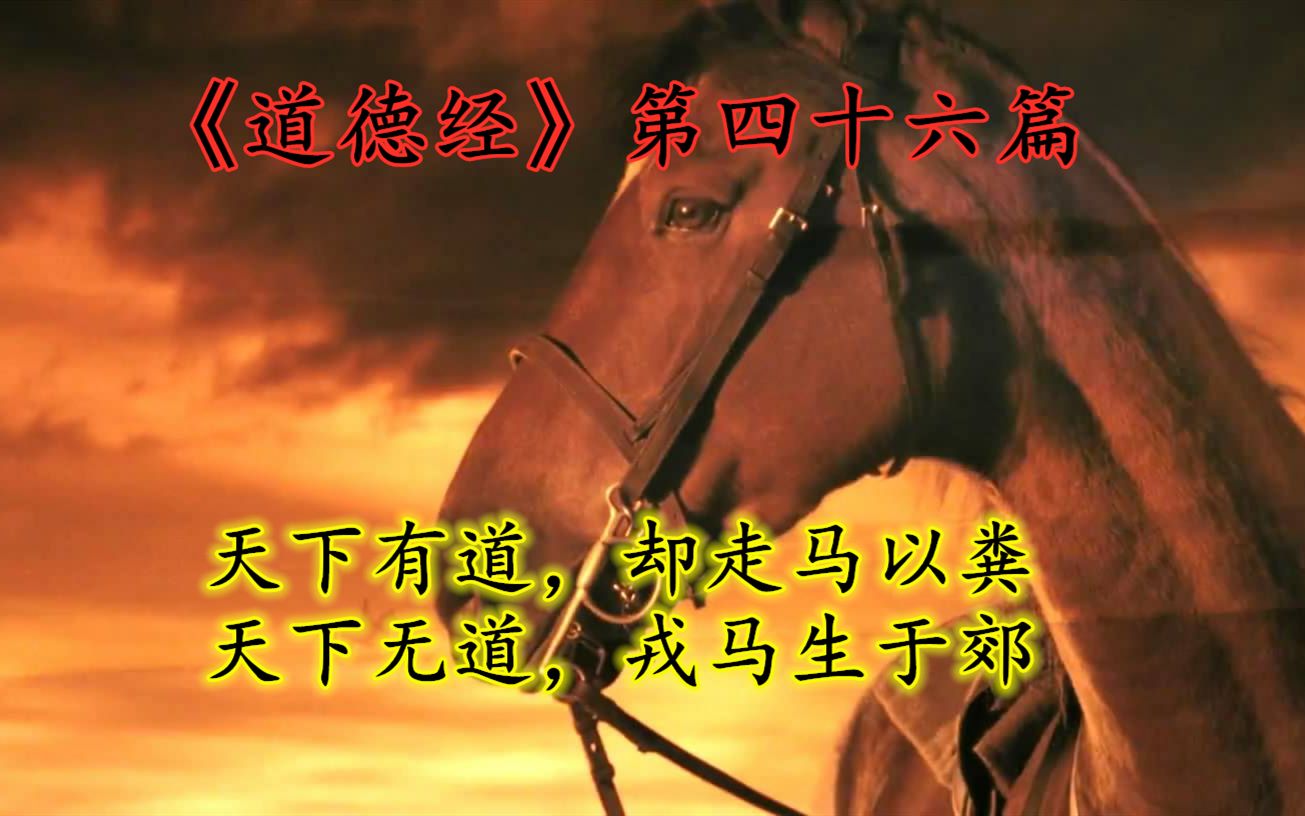 47772aec4f7c6dc3616b4d8c8debcca1.jpg