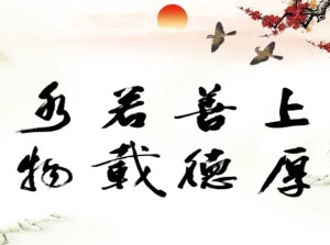 a6f1c6d011ec3eb8-e153abf57f1fd670-e5735503facb9a116ff171ae4c15c17e.jpg
