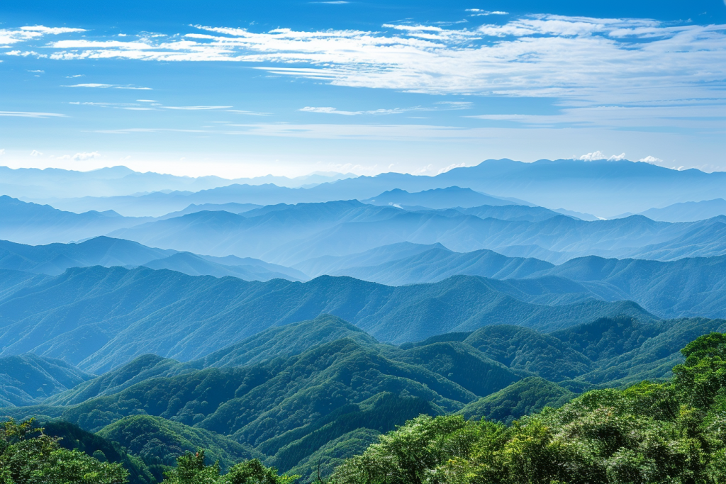 d800ae51a8af9790-4c57e396a75b7c1f-2978e981a6f6c6c38bb01a8c5ab3326e.jpg