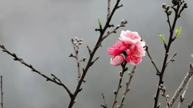 abe1eea3ca79fc28-c577ebdcb0f3dbcc-0fe54bf8d0115bc8d960113afa602d80.jpg