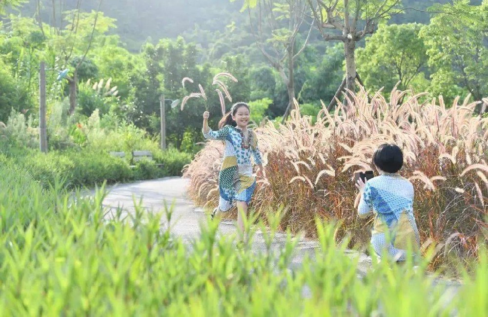 齊善鴻講《道德經(jīng)》第八十章：“復(fù)歸田園”的理想（上）