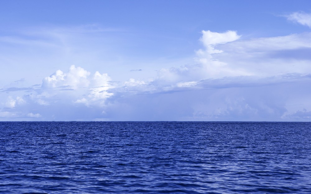 383.jpg