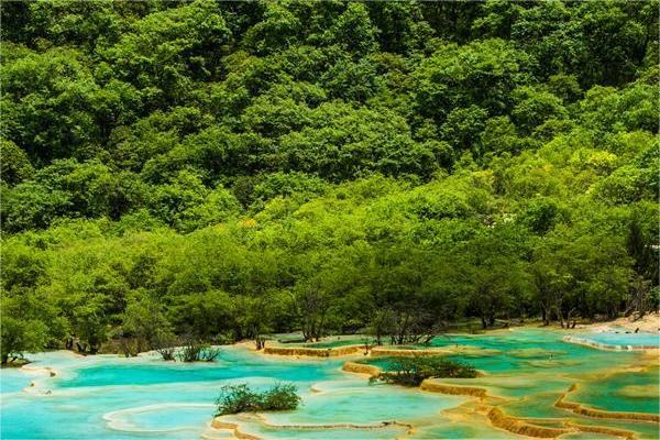 命理學(xué)之線式思維解析