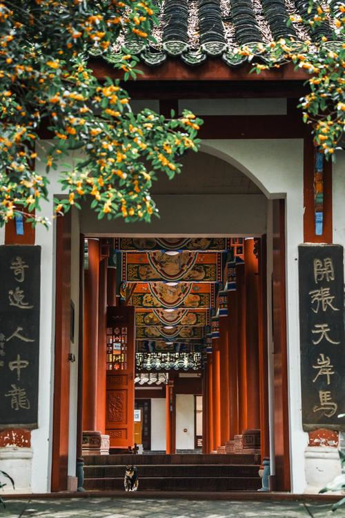 《黃帝內(nèi)經(jīng)》中的邪氣概念，“虛邪”到底為何物？
