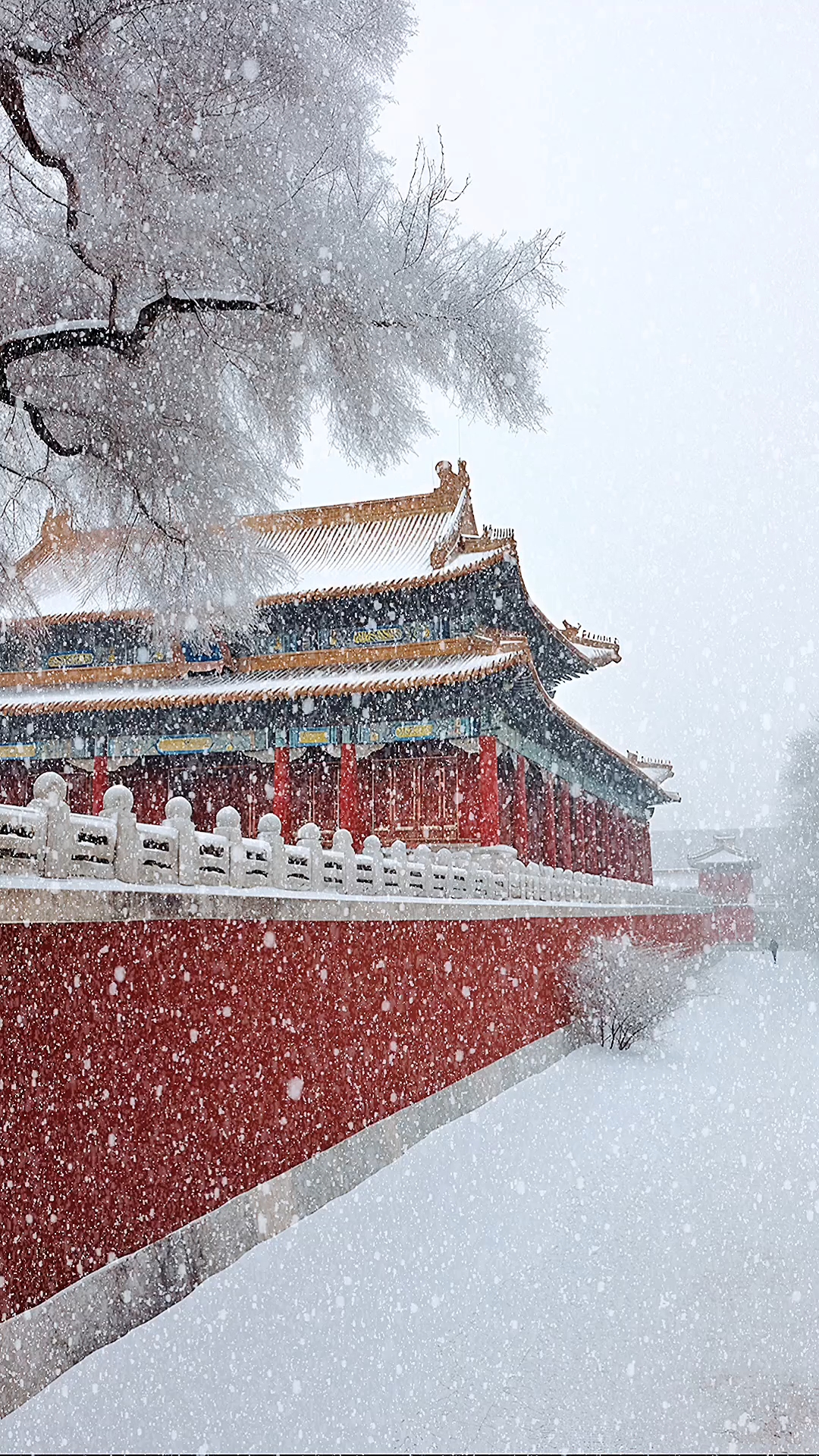 瑞雪紛飛.jpg