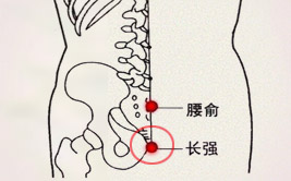 倪海廈長強穴治痔瘡和倪海廈治痔瘡秘方(圖2)