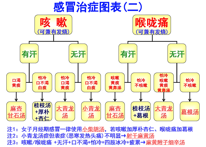 倪海廈經(jīng)方治感冒簡易圖表(圖2)