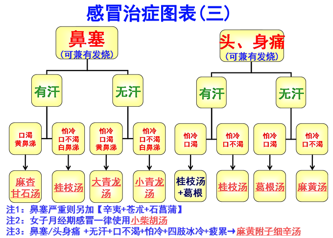 倪海廈經(jīng)方治感冒簡易圖表(圖3)