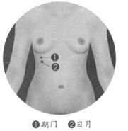 肋間神經(jīng)痛按摩