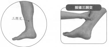 陽(yáng)痿-早泄按摩