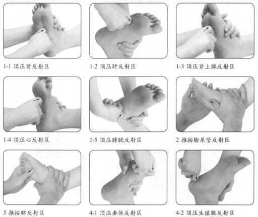 陽(yáng)痿-早泄按摩