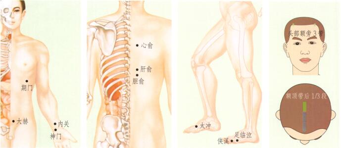 肝郁氣滯型陽痿-早泄刮痧