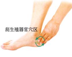 遺精刮痧
