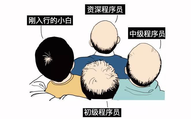 程序員 發(fā)型與級(jí)別