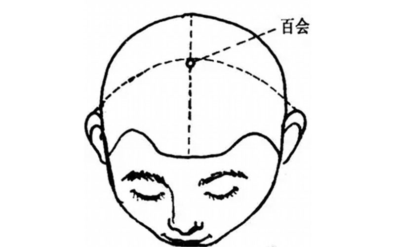 人體穴位圖 百會(huì)穴