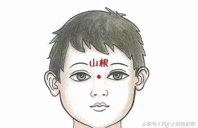 看相面部_高一看高考感想作文_體脂率公式是否準(zhǔn)確