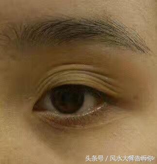 看相面部_高一看高考感想作文_體脂率公式是否準(zhǔn)確
