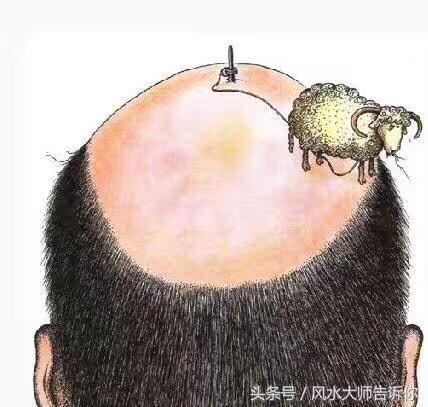 體脂率公式是否準(zhǔn)確_高一看高考感想作文_看相面部