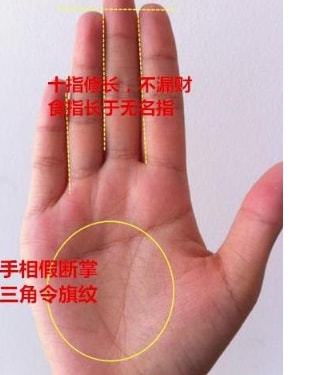斷掌紋_斷掌紋好不好_斷掌紋上有像環(huán)形的東西好不好<div   id=