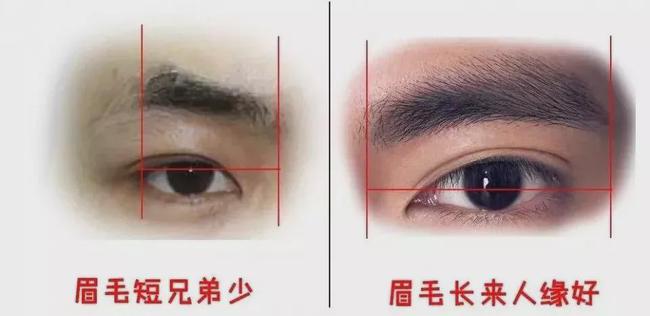 看相八字眉_看相準(zhǔn)還是八字準(zhǔn)_八字宮眉捧額黃