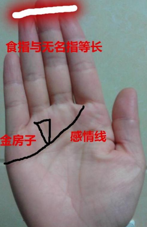 手相圖解女_手相圖解大全女婚姻線_女右手相圖解大全