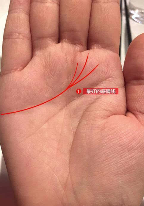 女右手相圖解大全_手相圖解大全女婚姻線_手相圖解女