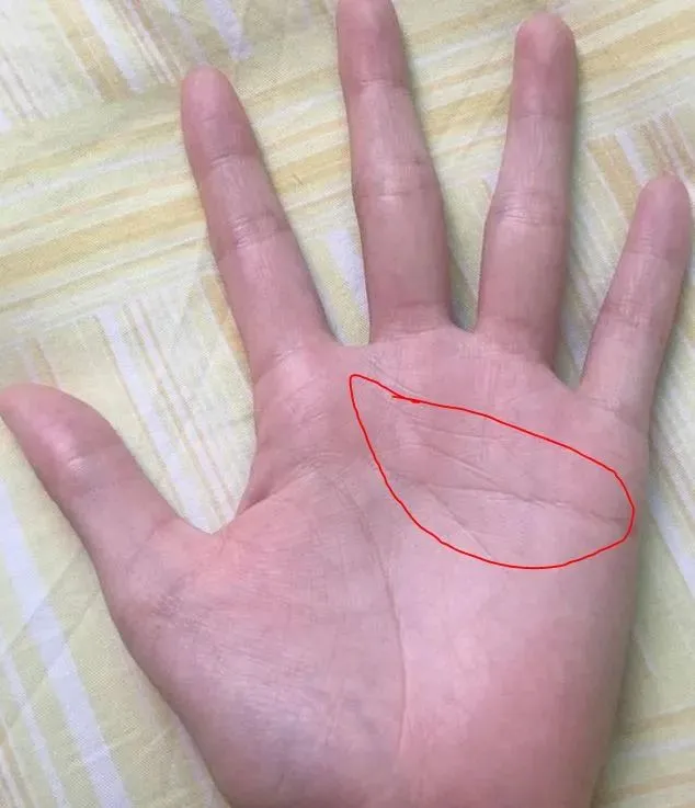 男人手相左手右手?jǐn)嗾芲手相是看左手還是右手_姻緣線看左手還是右手