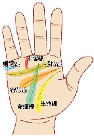 姻緣線看左手還是右手_男人手相左手右手?jǐn)嗾芲手相是看左手還是右手